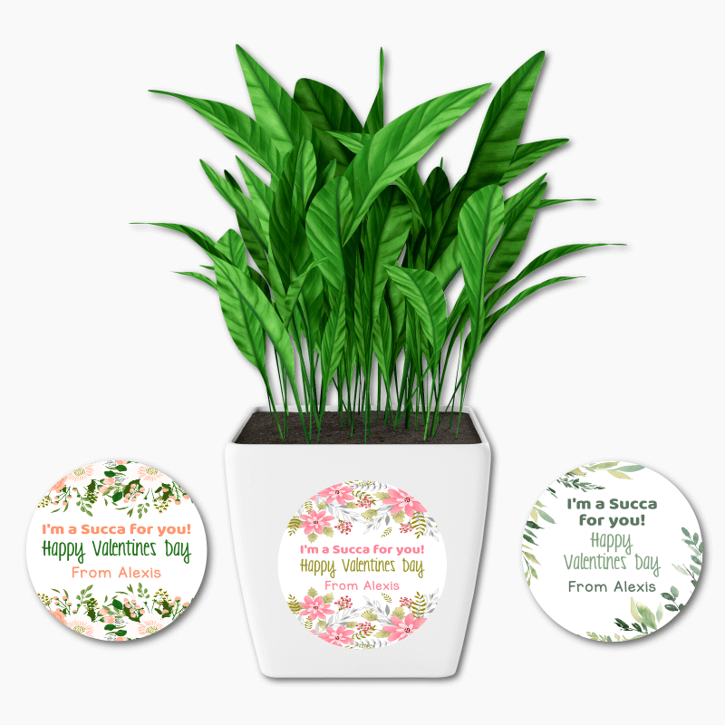 Personalised I&#39;m a Succa for You Valentines Day Gift Round Plant Stickers